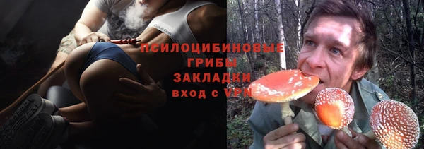 ПСИЛОЦИБИНОВЫЕ ГРИБЫ Болохово